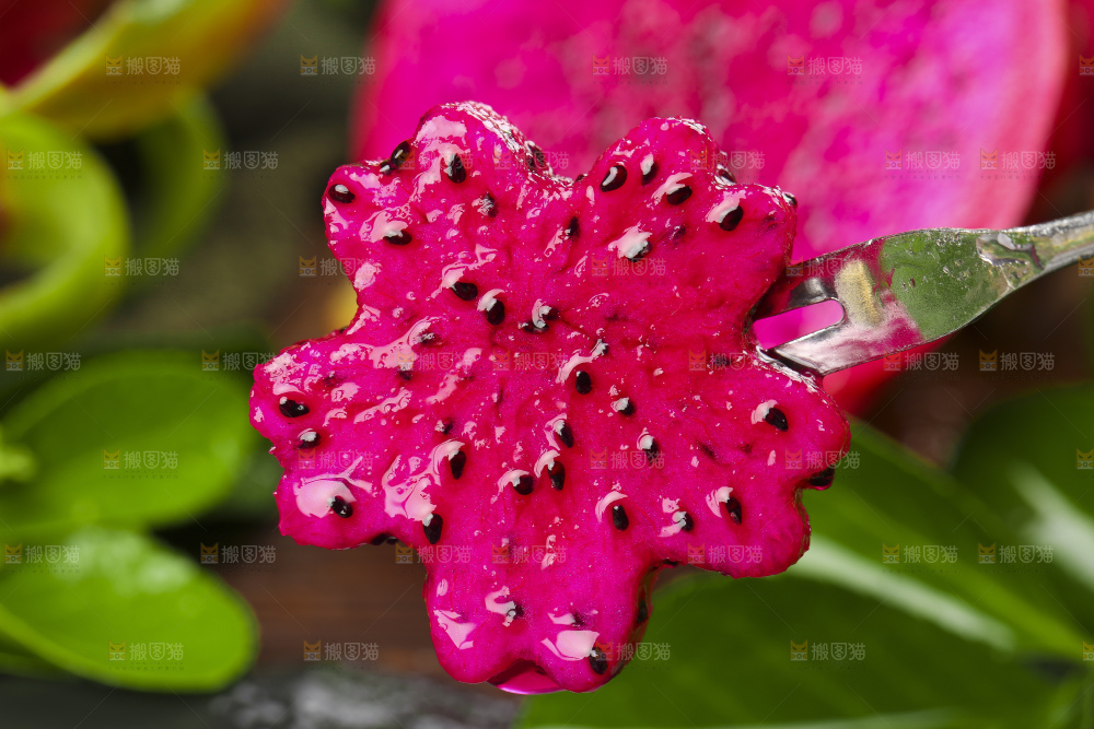 叉子叉着火龙果果肉