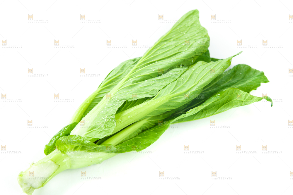 白底上放着青菜薹