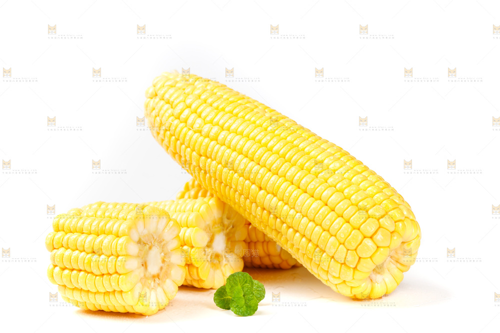 白底上的新鲜玉米