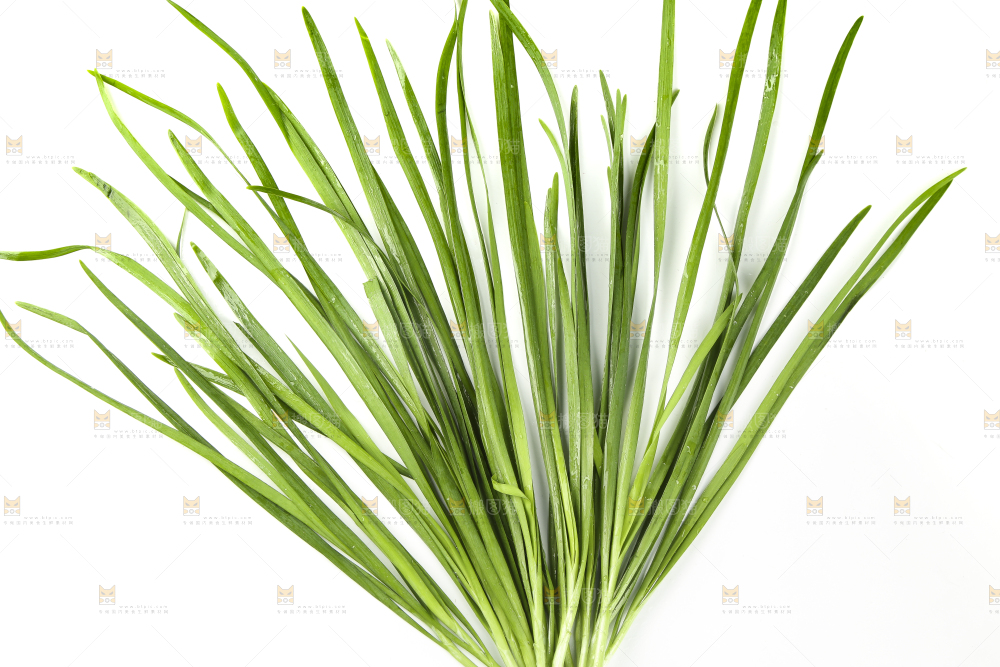 白底上的一把韭菜