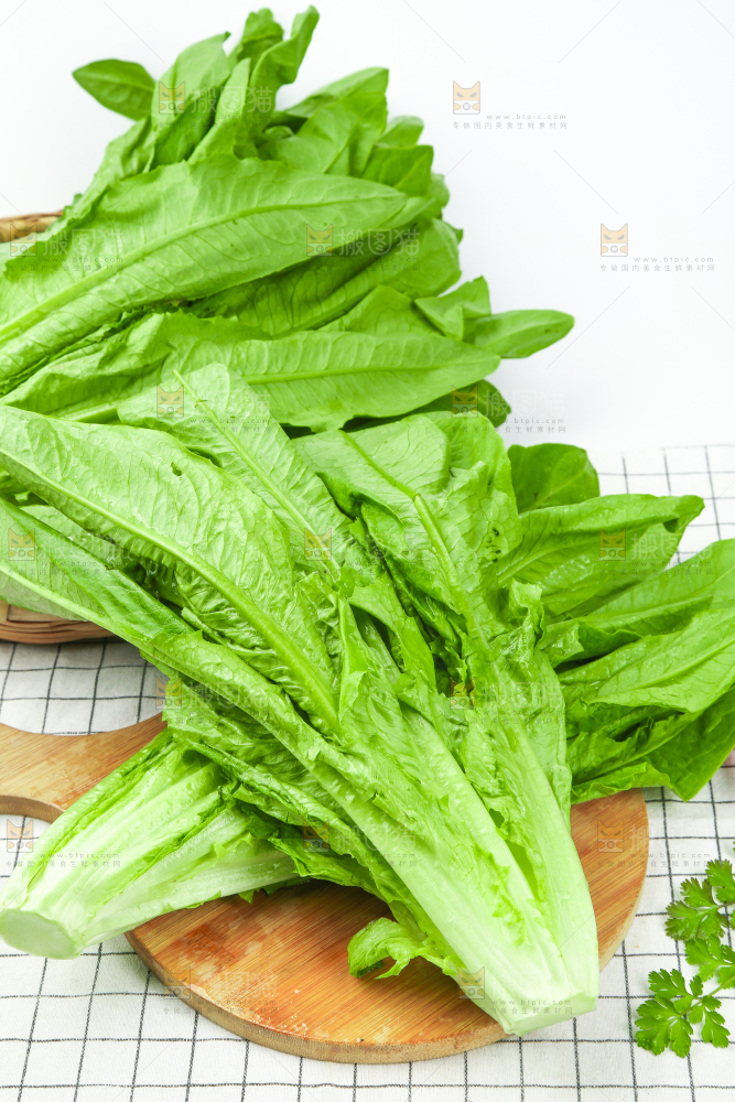 格子底上放着油麦菜