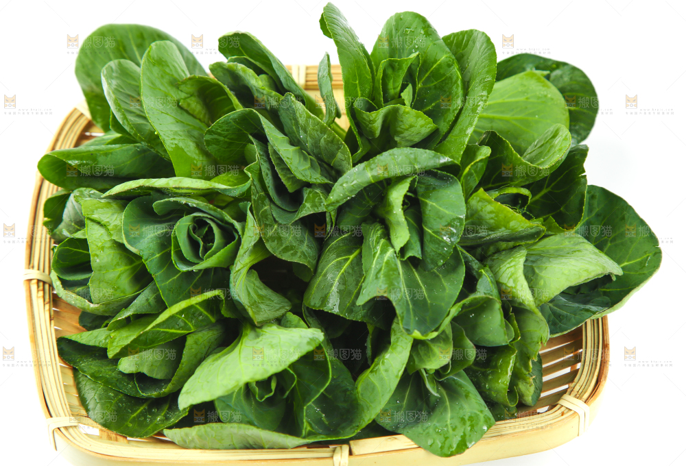 篮子里的新鲜青菜
