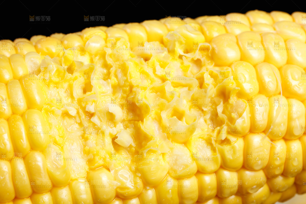 黑底上的玉米棒