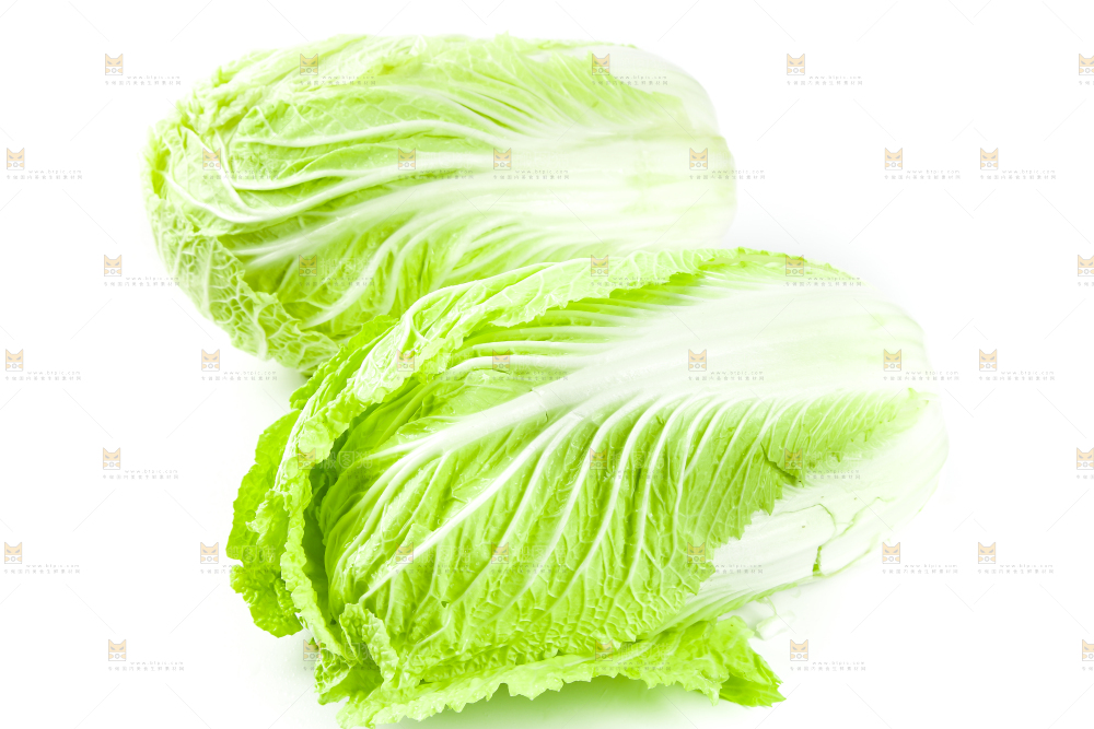 白底上的新鲜大白菜