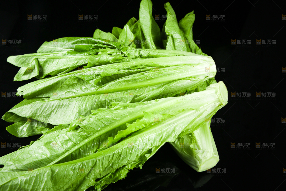 黑底上摆放着油麦菜