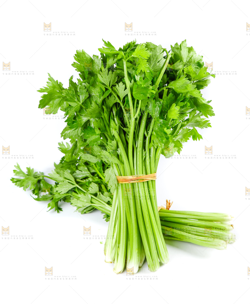 白底上堆放着香芹