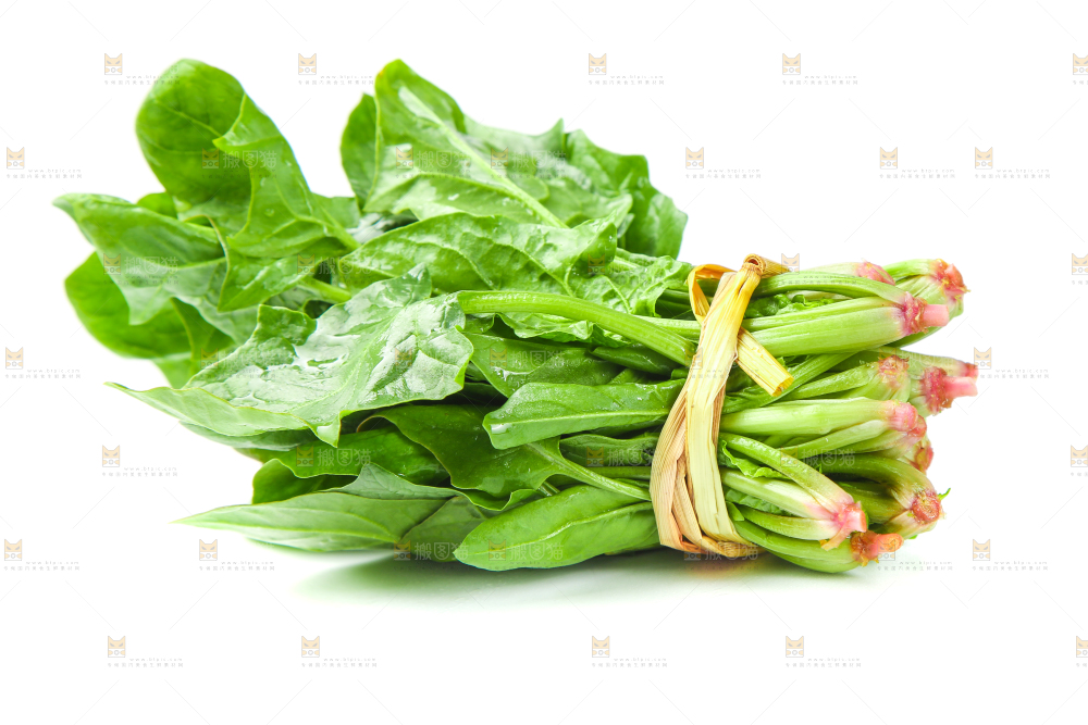 白底上放着新鲜菠菜