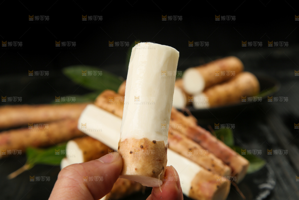 手里拿着白山药