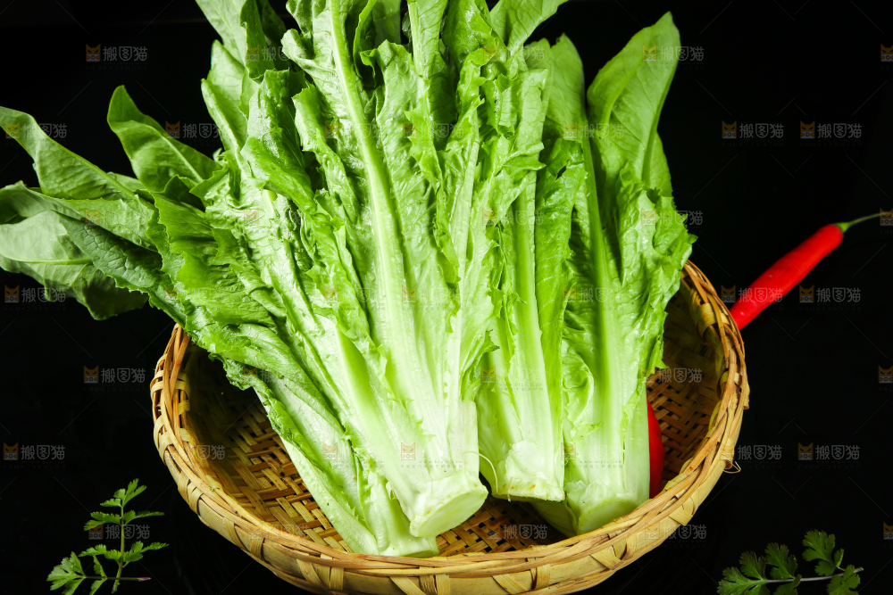 篮子里装着油麦菜