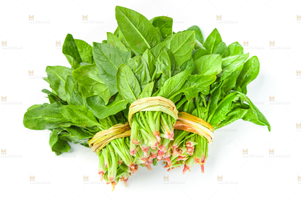 白底上放着新鲜菠菜