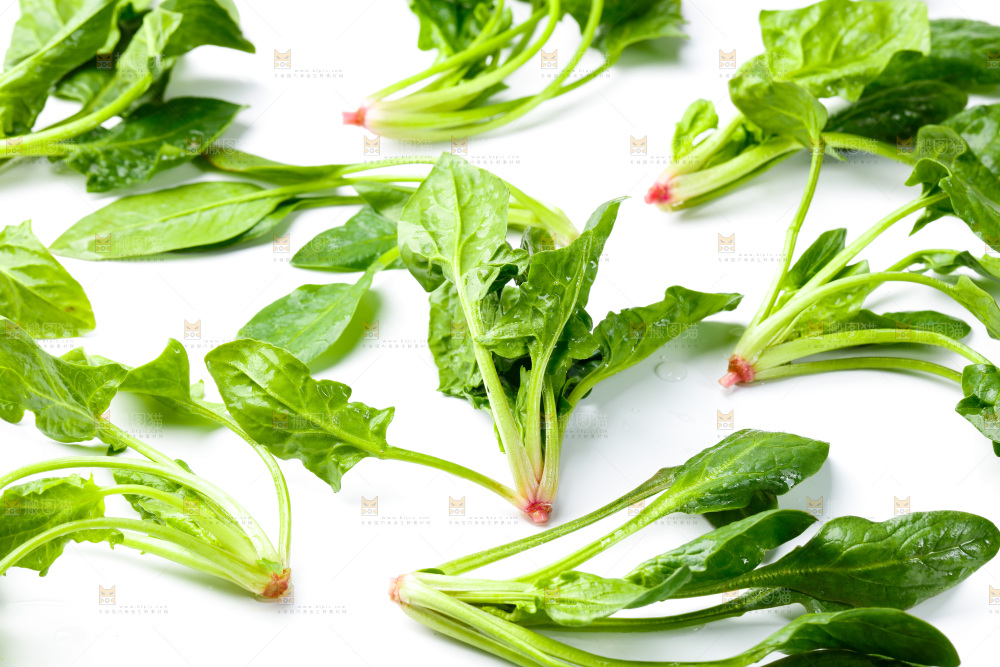 白底上的菠菜