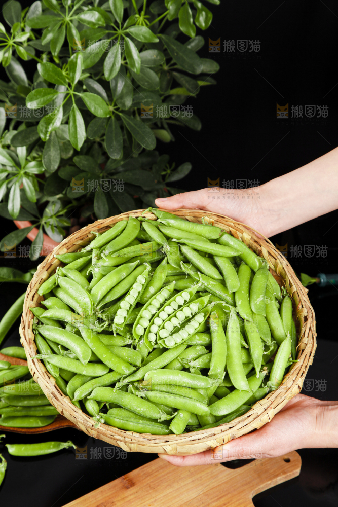 手上端着一篮新鲜的豌豆荚