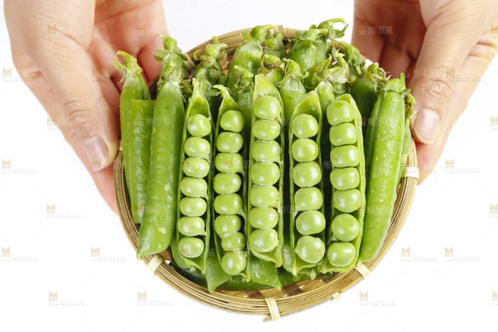 篮子里的新鲜豌豆