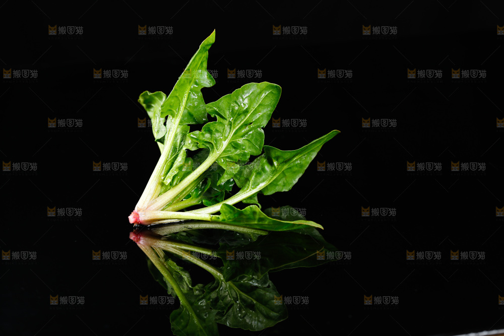 黑底上的菠菜
