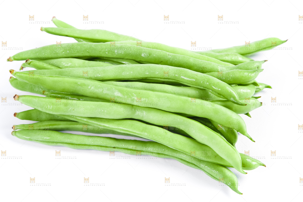 新鲜陕西四季豆放在白底上