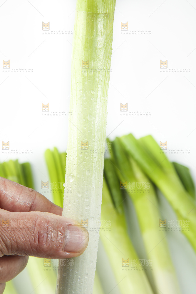 白底上放着大葱