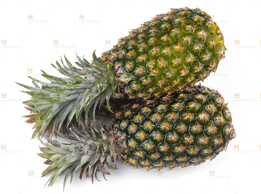 白底上的新鲜凤梨