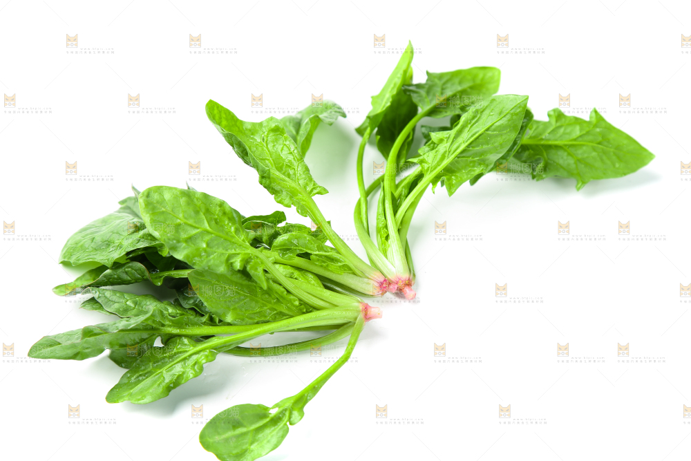 白底上放着新鲜菠菜