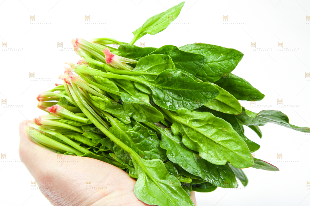 手里拿着一把菠菜