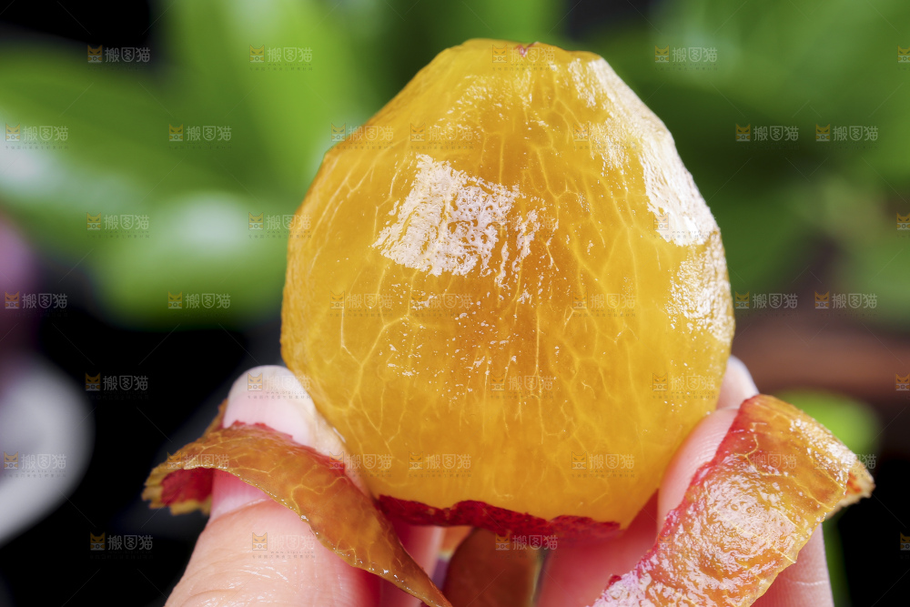 手拿着削皮的甜西梅