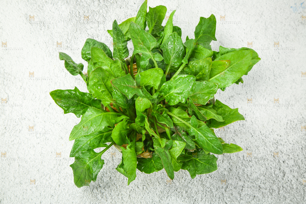 浅底上放着新鲜菠菜