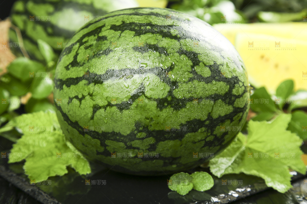 黑底上放着新鲜西瓜