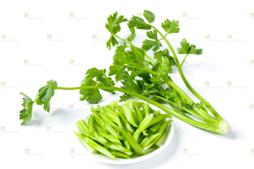 白底上的小芹菜