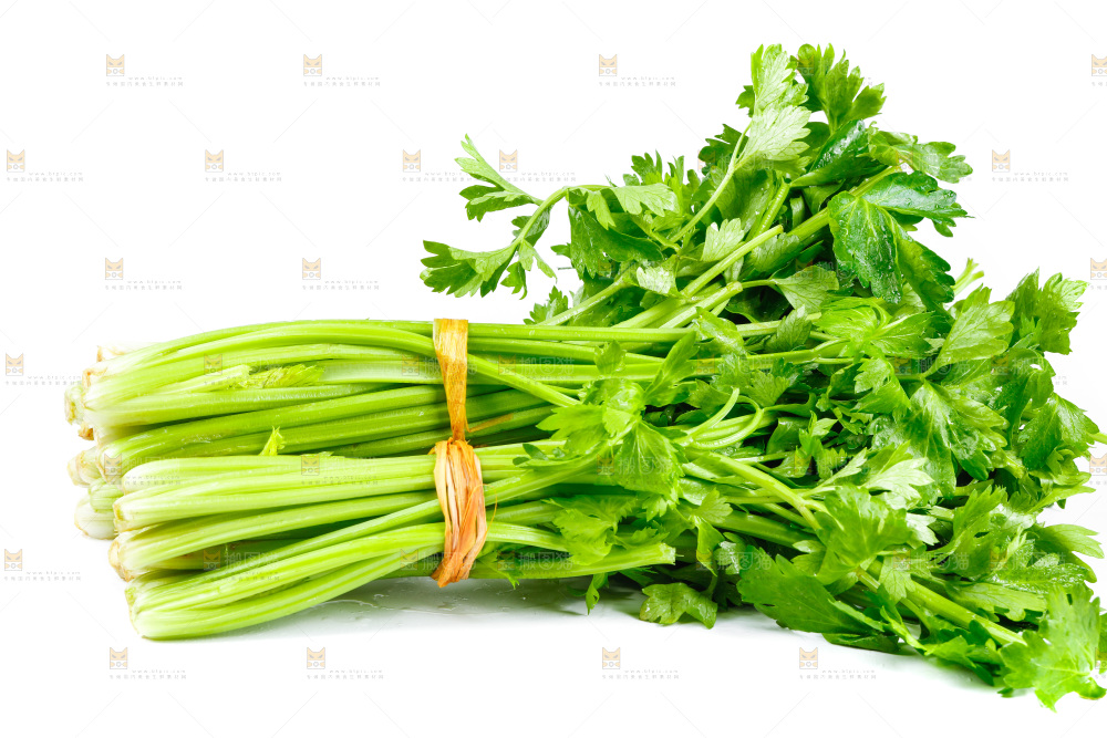 白底上放着芹菜