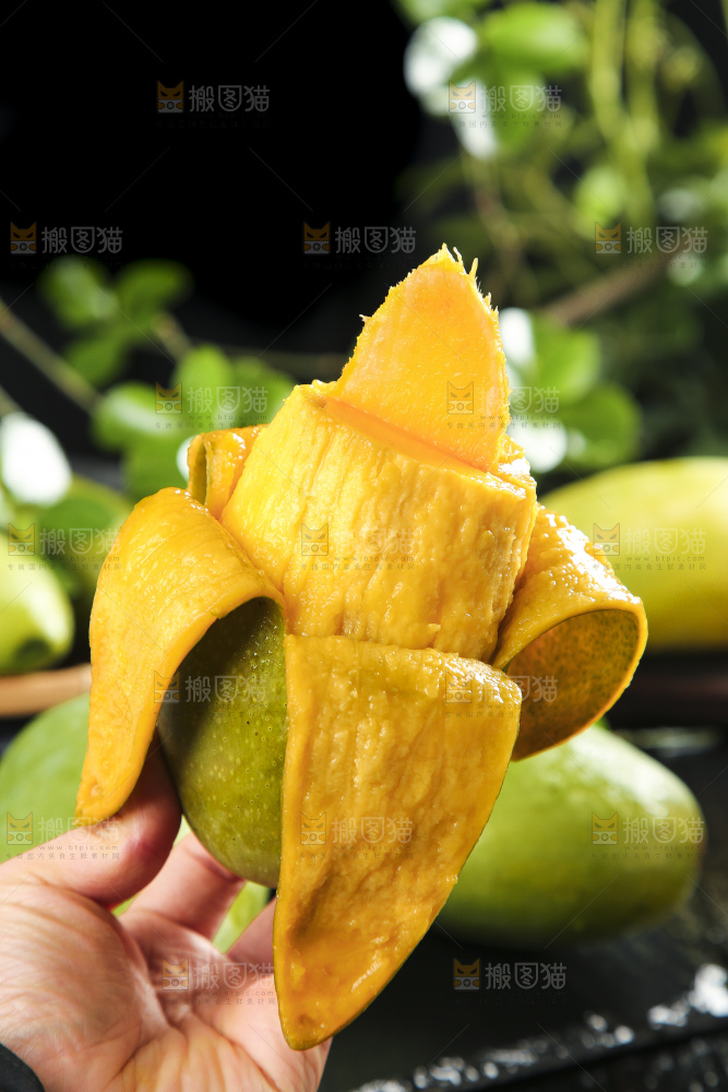 手拿剥皮的运南进口大青芒
