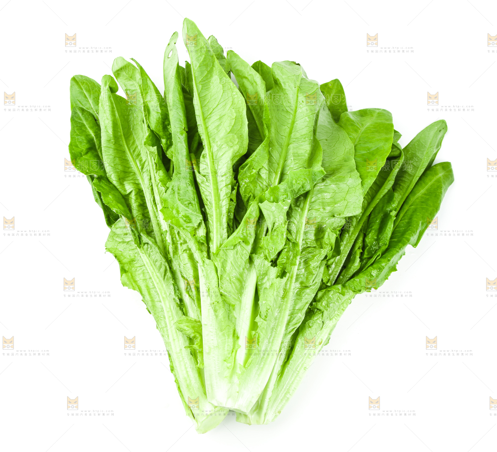 白底上的嫩油麦菜