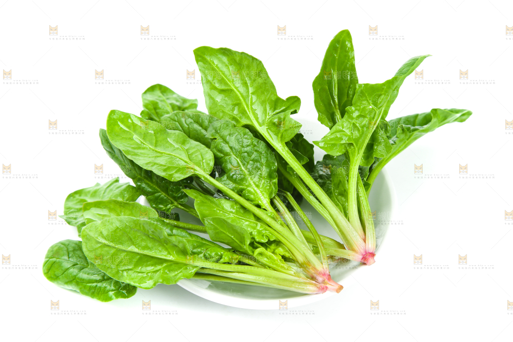 白底上放着新鲜菠菜