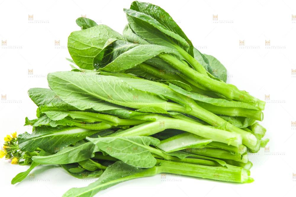 白底上的菜薹