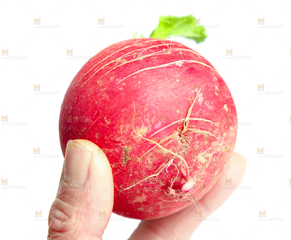 手里拿着红萝卜