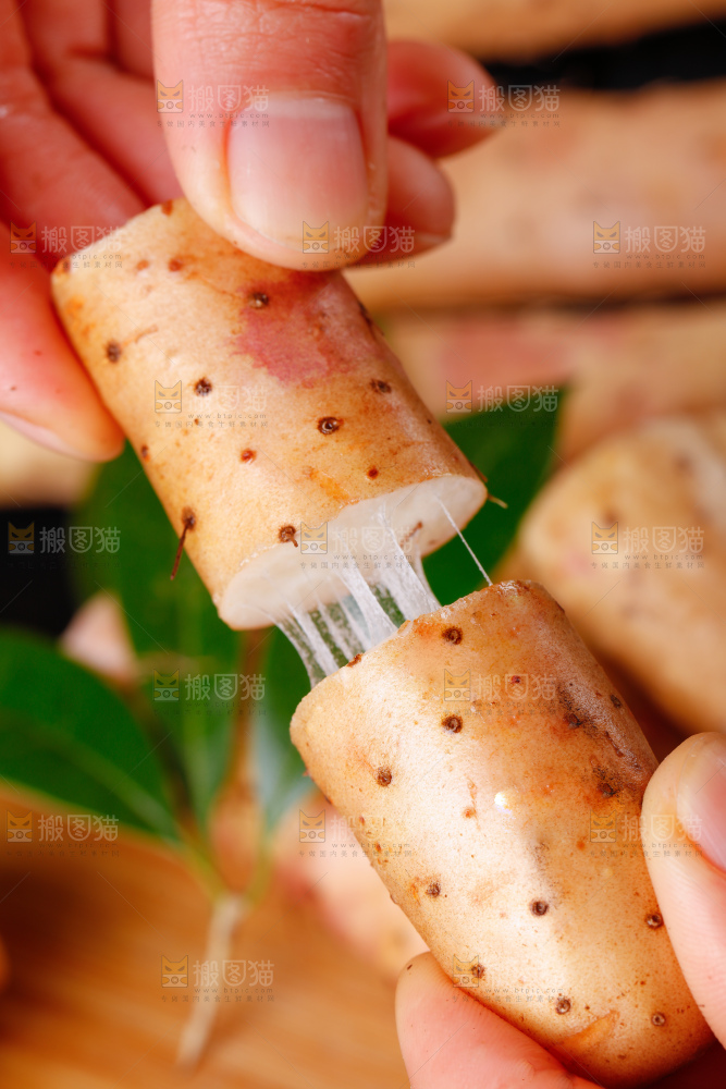 手里拿着小白嘴山药