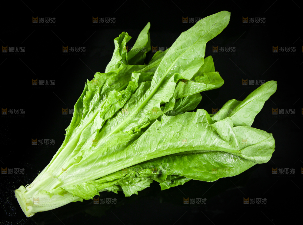 黑底上摆放着油麦菜