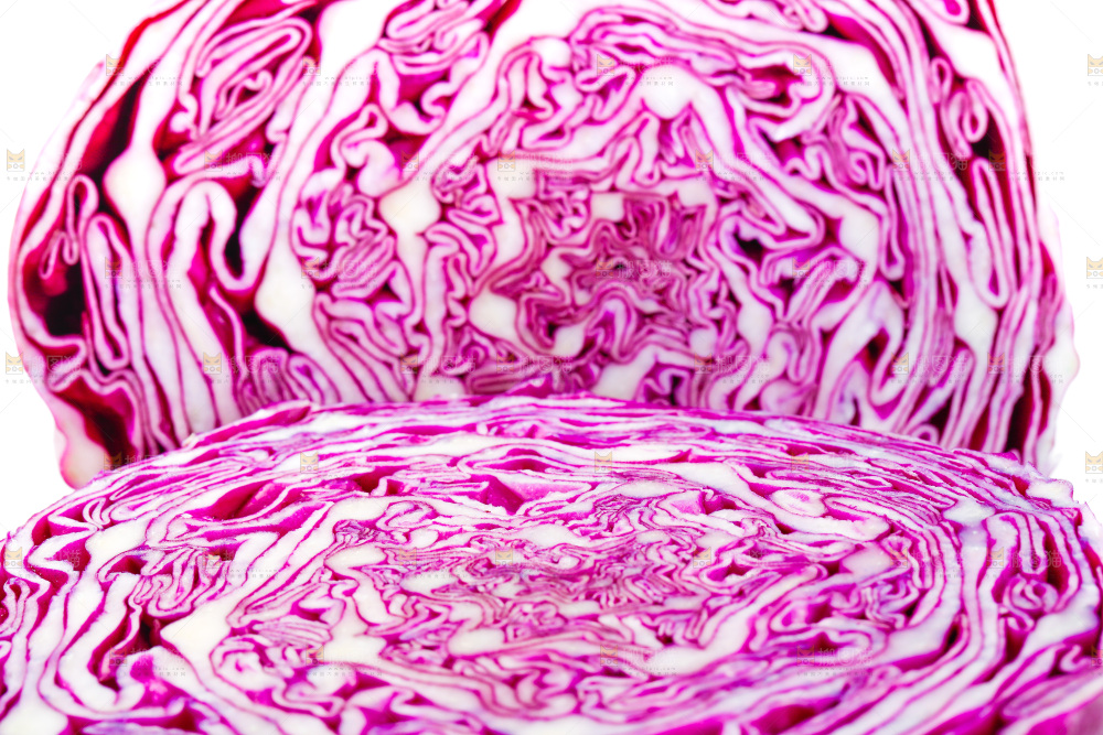 白底上放着甘蓝