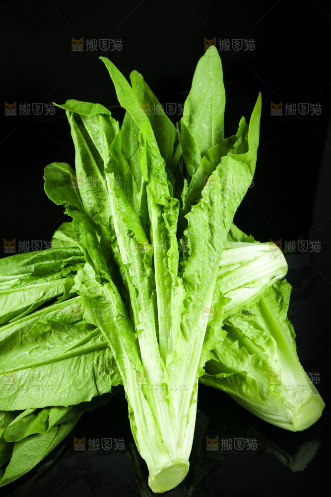 黑底上摆放着油麦菜