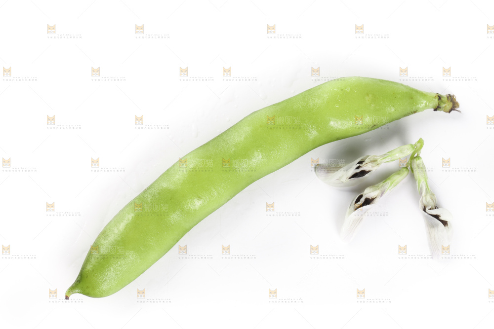 白底上放着新鲜蚕豆