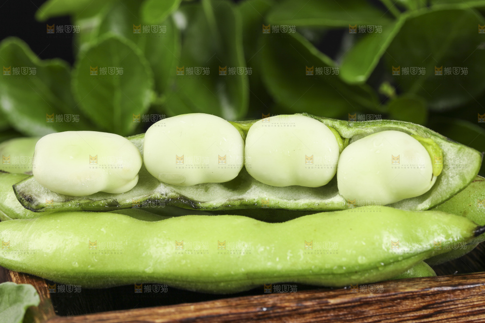 深底上放着新鲜兰花豆