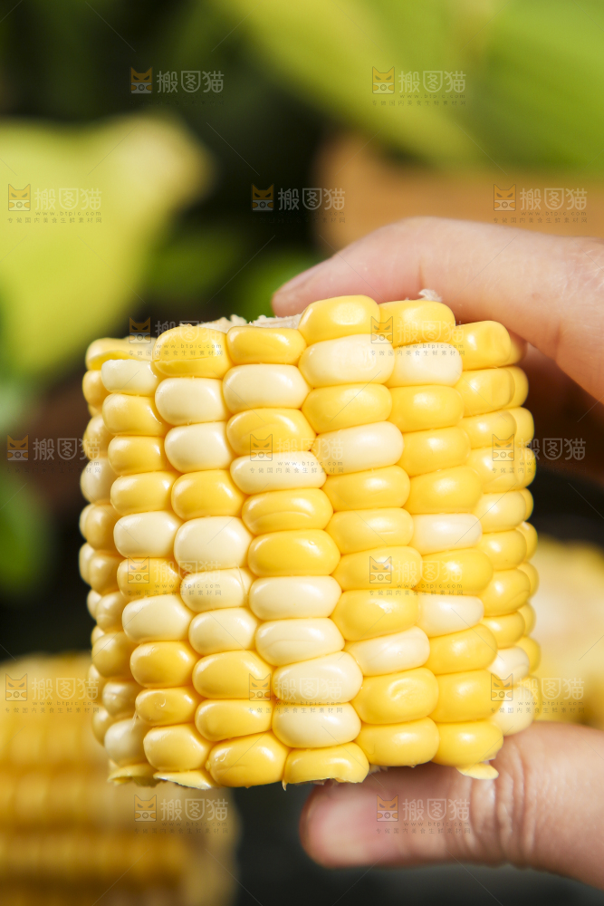 手里拿着掰开的水果玉米