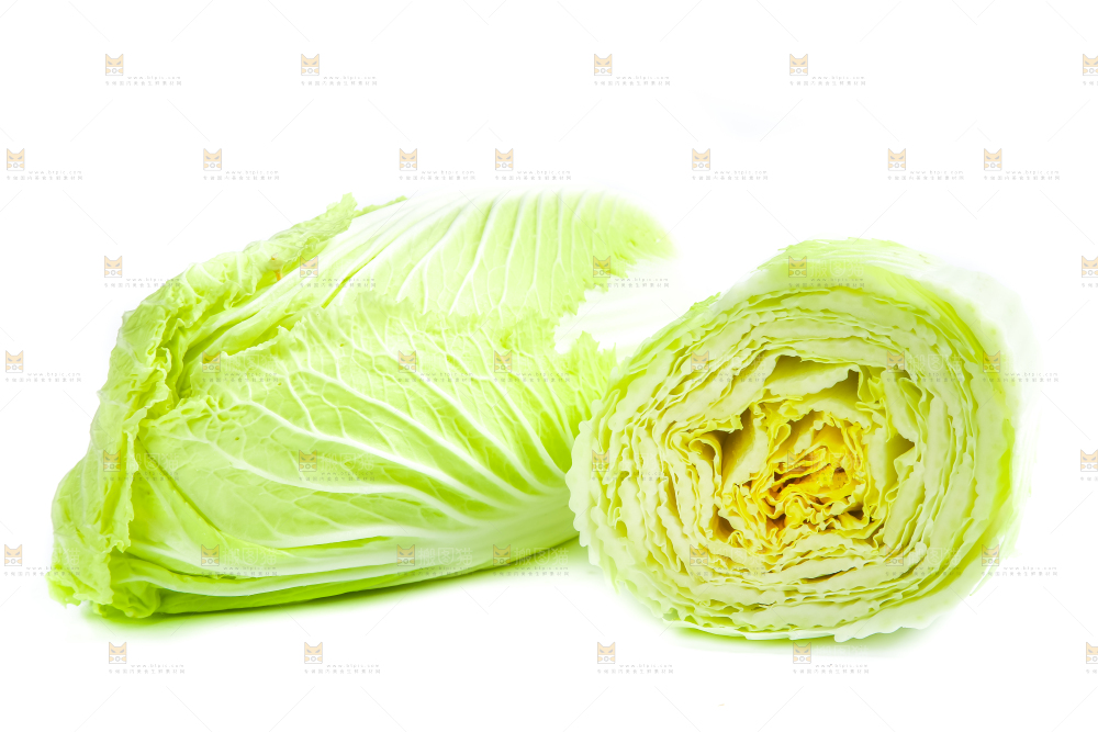 白底上放着大白菜
