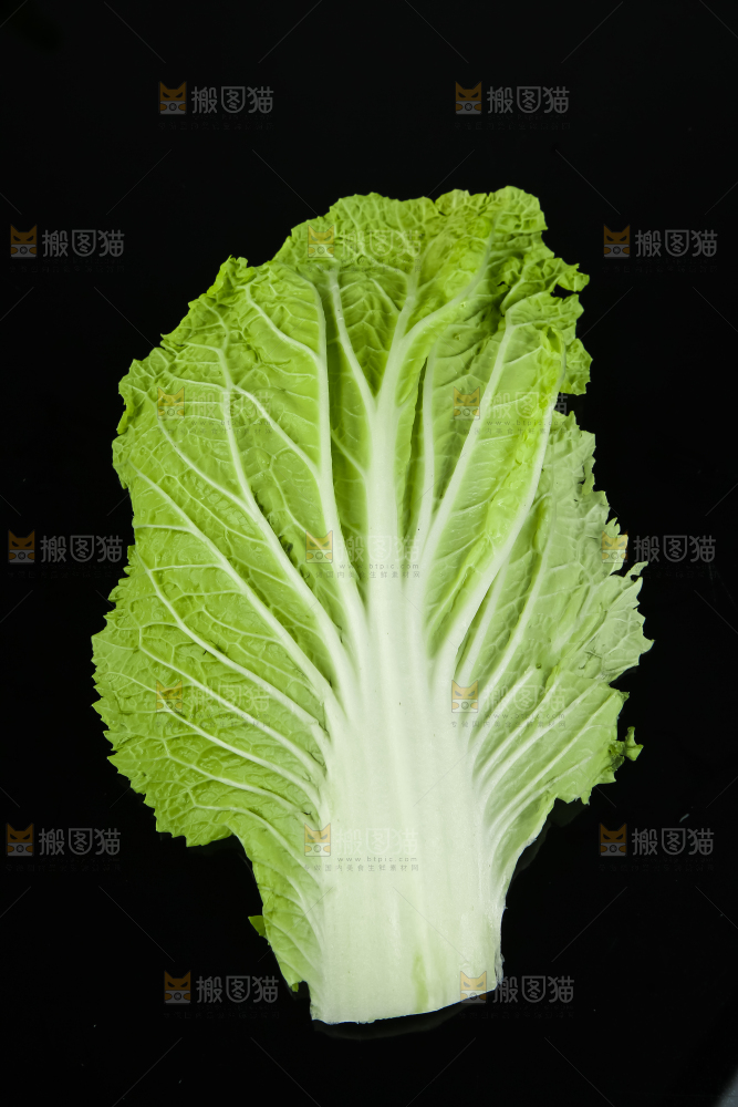 黑底上放着大白菜
