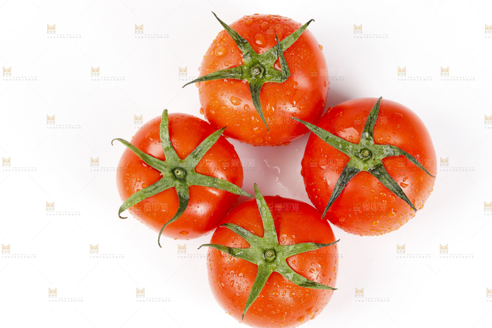 白底上的西红柿