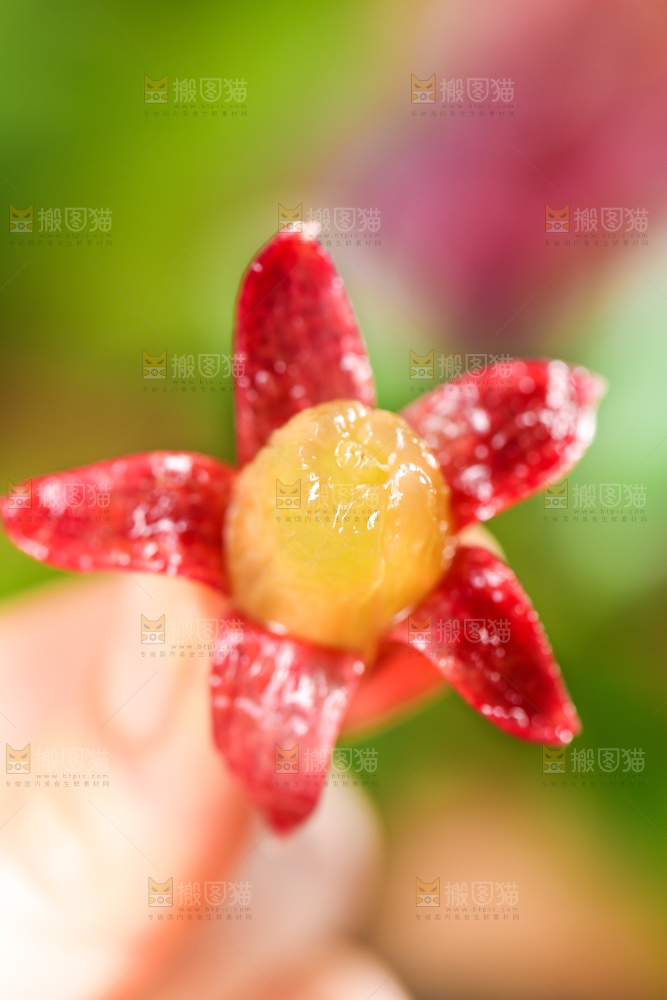 手里拿着剥皮的美人指葡萄