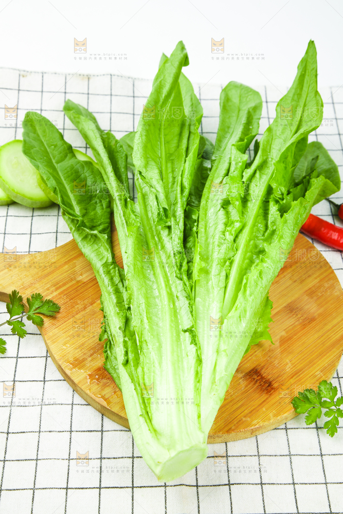格子底上放着油麦菜