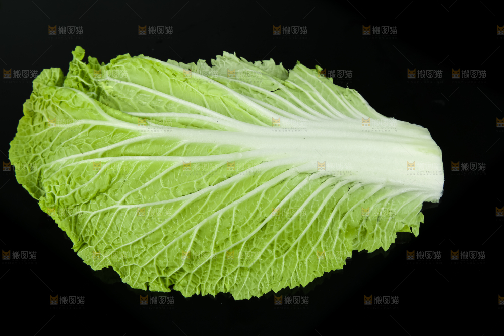 黑底上放着大白菜