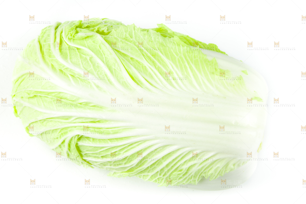 白底上放着大白菜