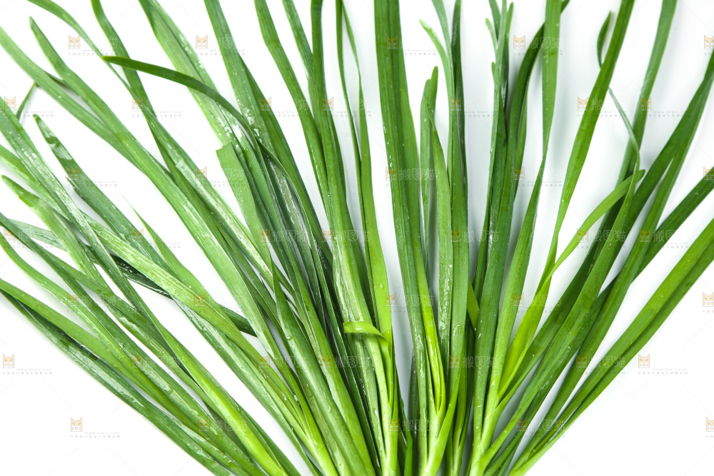 白底上的一把韭菜