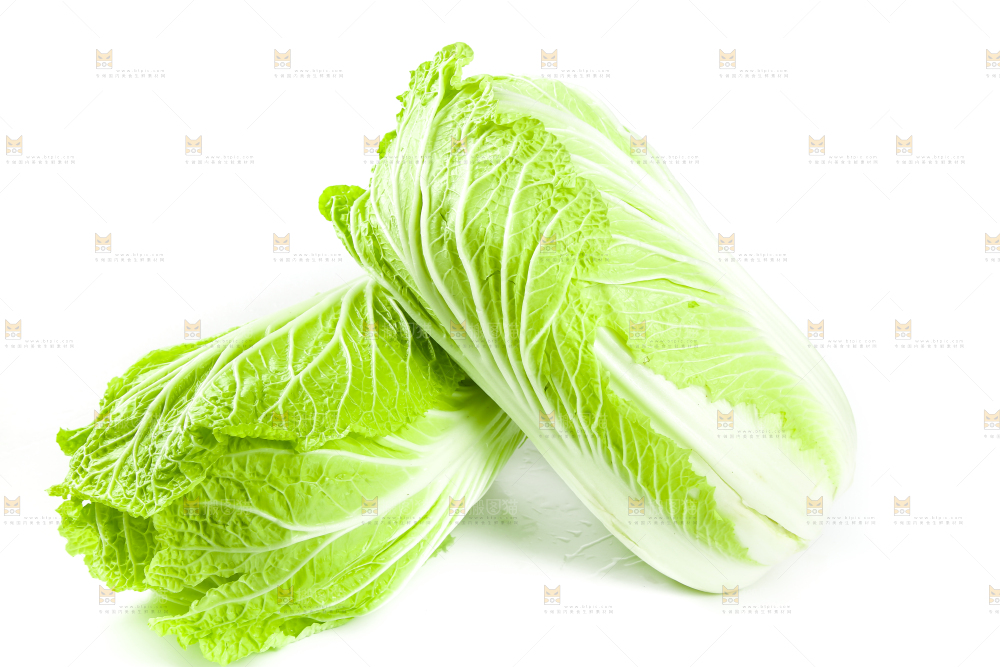 白底上的有机大白菜