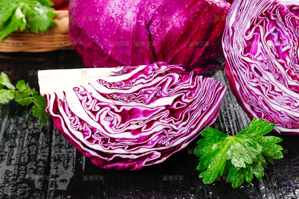 深底上的羽衣甘蓝